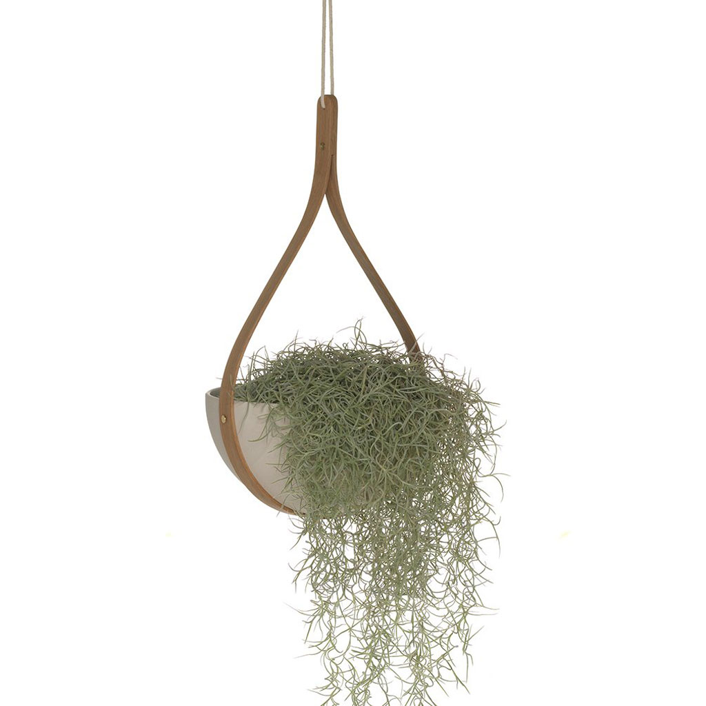 Tom Raffield - Morvah Celing Hanging Planter - Blumentopf zum Hängen