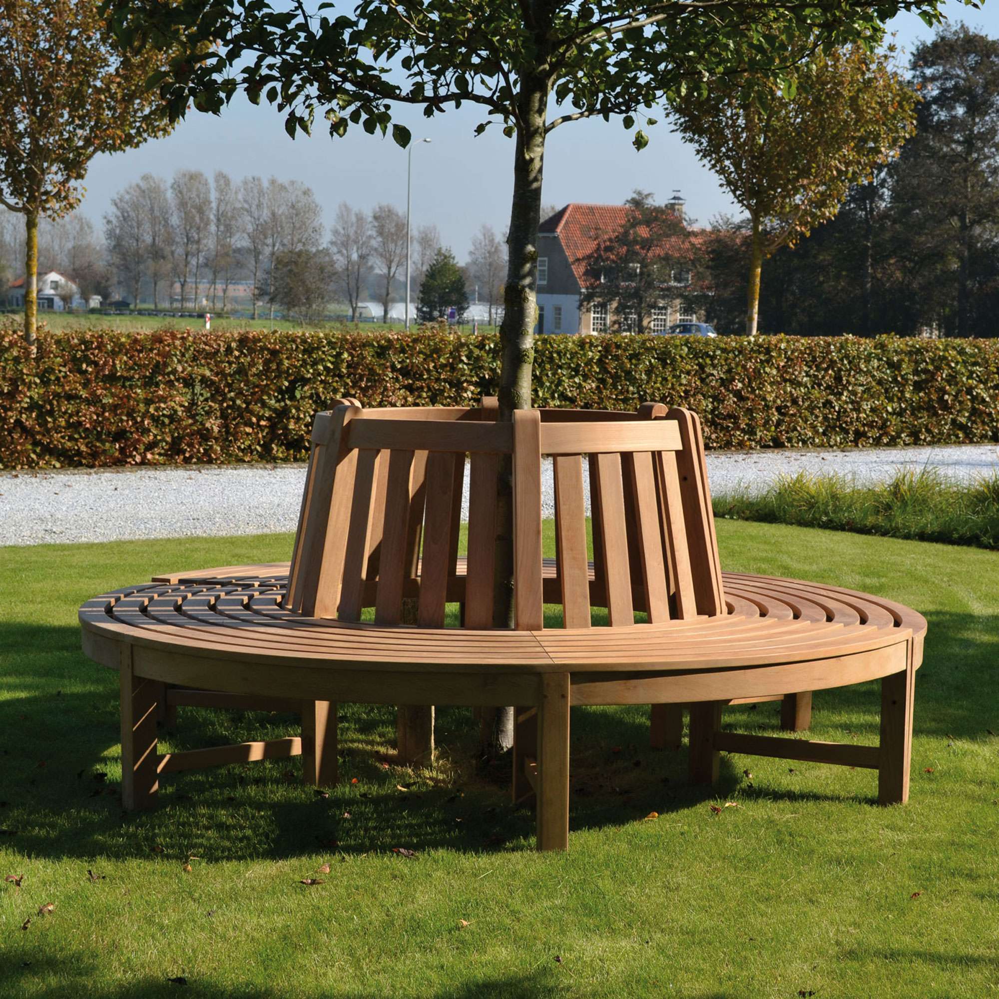 Traditional Teak - Beatrice - Design Outdoor Baumbank aus Massivholz